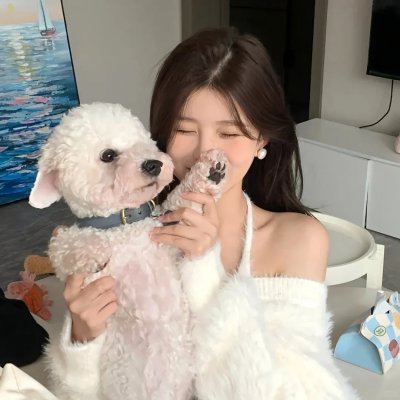 泰版信号海报