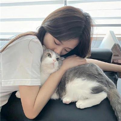 人间至味是清欢海报